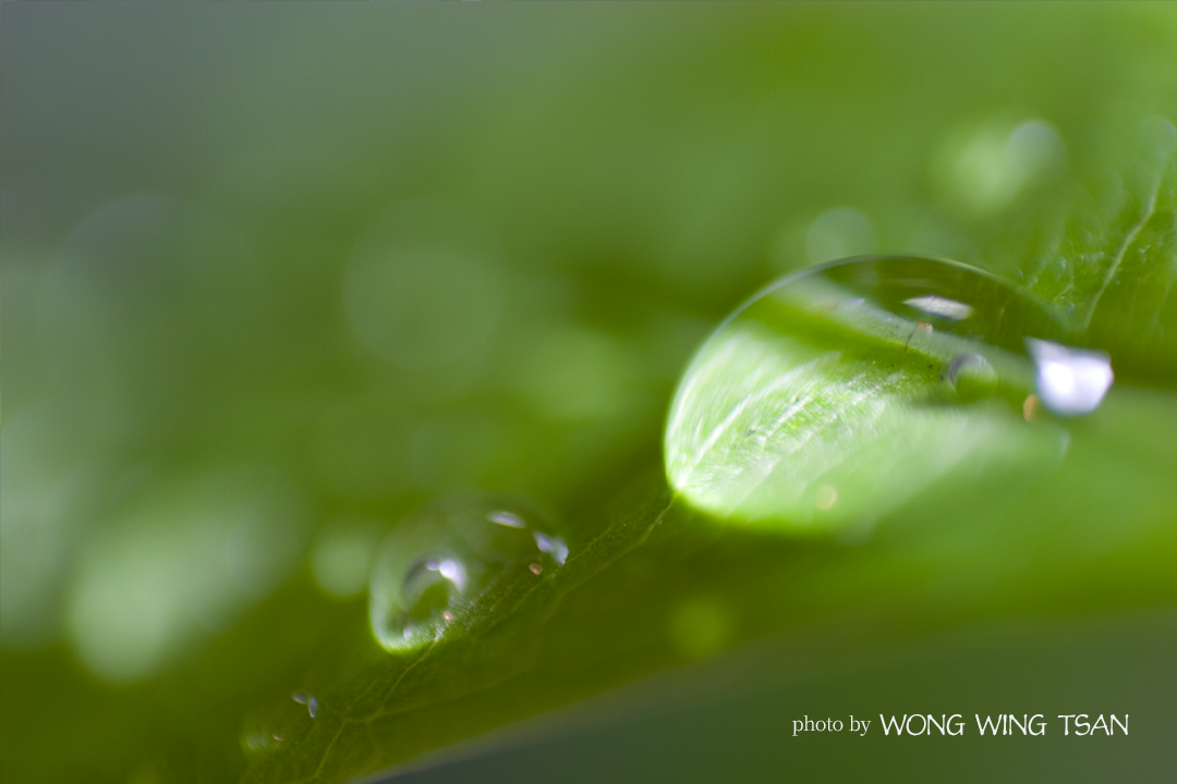 「水滴１」の画像